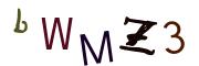 图形验证